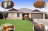 Descupinização Residencial na Granja Viana