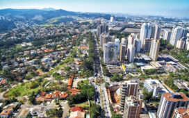 Dedetização em Taboão da Serra