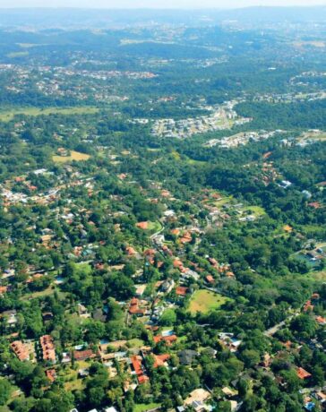 Dedetização de cupim