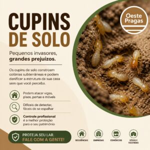 descupinização SP